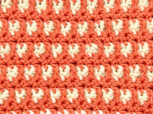 Load image into Gallery viewer, August Dishcloth of the Month