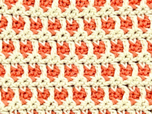 Load image into Gallery viewer, August Dishcloth of the Month