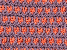 Load image into Gallery viewer, August Dishcloth of the Month