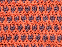 Load image into Gallery viewer, August Dishcloth of the Month