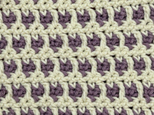 Load image into Gallery viewer, August Dishcloth of the Month