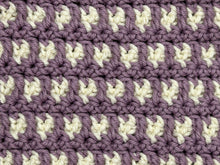 Load image into Gallery viewer, August Dishcloth of the Month