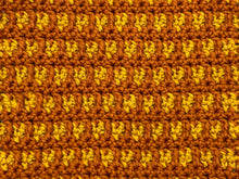 Load image into Gallery viewer, September Dishcloth of the Month