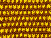 Load image into Gallery viewer, September Dishcloth of the Month