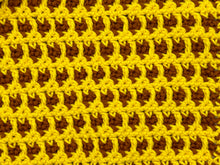 Load image into Gallery viewer, September Dishcloth of the Month