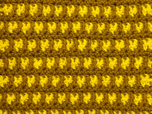 Load image into Gallery viewer, September Dishcloth of the Month