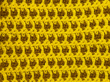 Load image into Gallery viewer, September Dishcloth of the Month