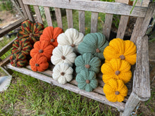 Load image into Gallery viewer, Decorative Pumpkins ***50% OFF***