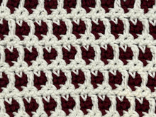 Load image into Gallery viewer, January Dishcloth of the Month
