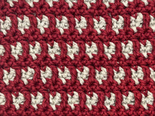 Load image into Gallery viewer, January Dishcloth of the Month
