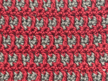 Load image into Gallery viewer, January Dishcloth of the Month
