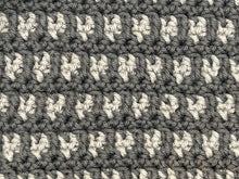 Load image into Gallery viewer, January Dishcloth of the Month
