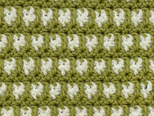 Load image into Gallery viewer, March Dishcloth of the Month
