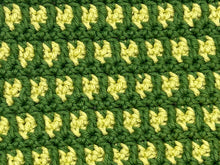 Load image into Gallery viewer, March Dishcloth of the Month
