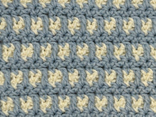 Load image into Gallery viewer, April Dishcloth of the Month
