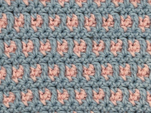 Load image into Gallery viewer, April Dishcloth of the Month
