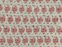 Load image into Gallery viewer, February Dishcloth of the Month
