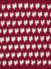 Load image into Gallery viewer, May Dishcloth of the Month
