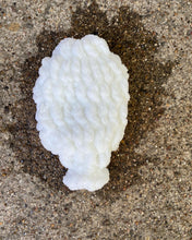 Load image into Gallery viewer, Reusable Water Balloons!
